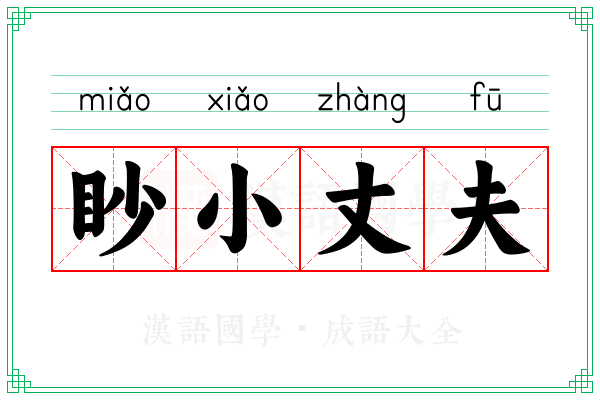 眇小丈夫