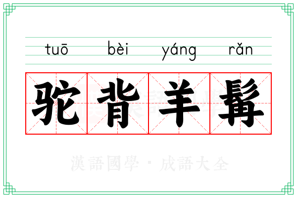 驼背羊髯