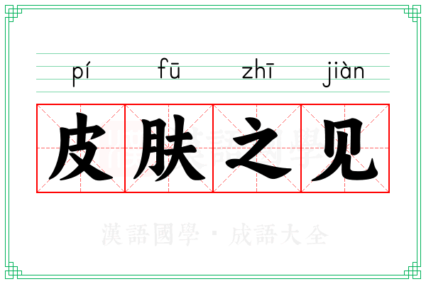 皮肤之见