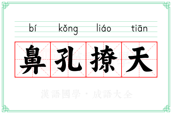 鼻孔撩天