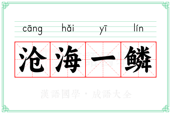 沧海一鳞