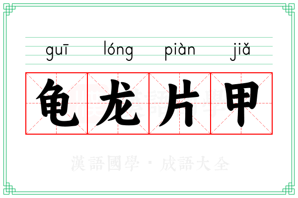 龟龙片甲
