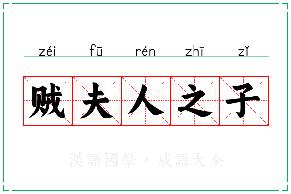 贼夫人之子