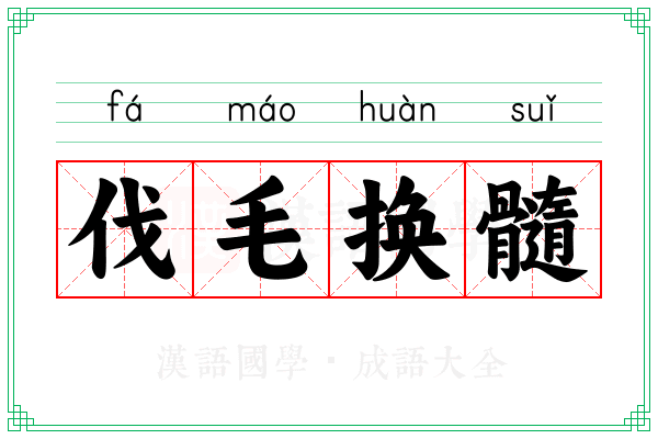 伐毛换髓