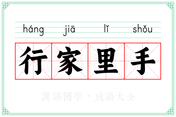 行家里手