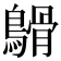 𪄥