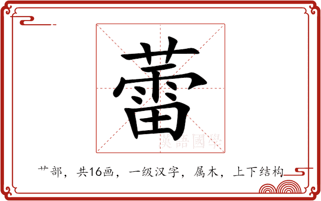 蕾